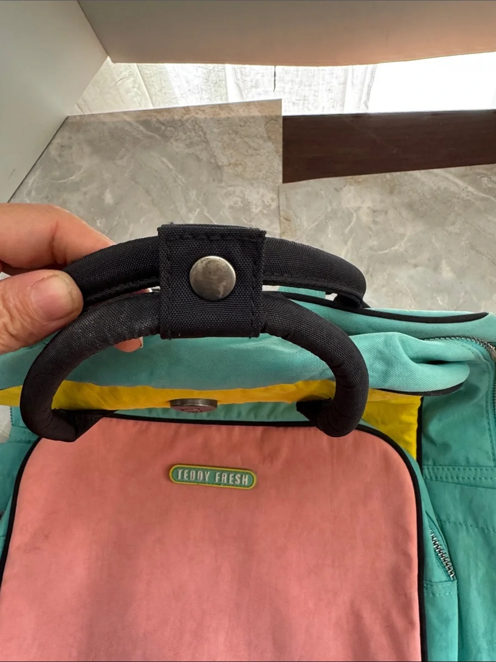 Teddy Fresh Colorblock Canvas Backpack in Pink, Yellow & Teal